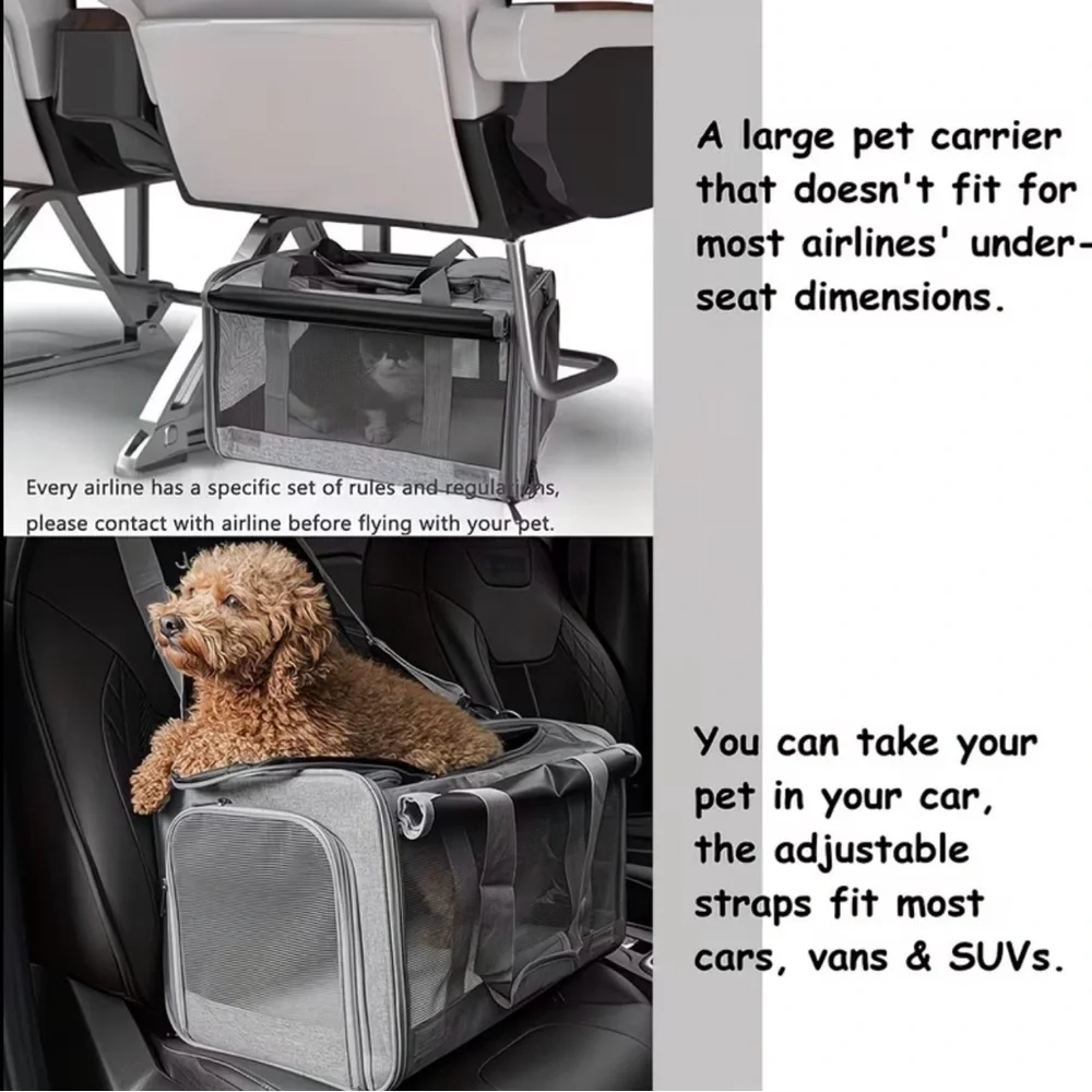 Pet Carrier with Foldable Design and Reinforced Handles~ BLUE